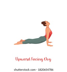 Woman practicing urdhva mukha svanasana exercise flat vector illustration. Yoga practice. Girl doing upward facing dog pose. Flat vector illustration isolated on white background