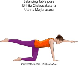 Woman practicing Utthita Chakravakasana yoga pose. Balancing Table pose or Ruddy Goose pose. Intermediate Difficulty. Isolated vector illustration.