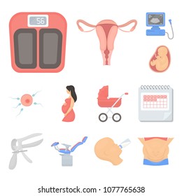 Woman and pregnancy cartoon icons in set collection for design. Gynecology and equipment vector symbol stock web illustration.