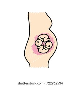 woman pregnant with nice twins babies