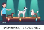 Woman presenting dogs on winner pedestal with award ribbons at dog show. Dachshund, poodle & Dalmatian competition dog champions on podium under spotlights. Canine exhibition. Flat vector illustration