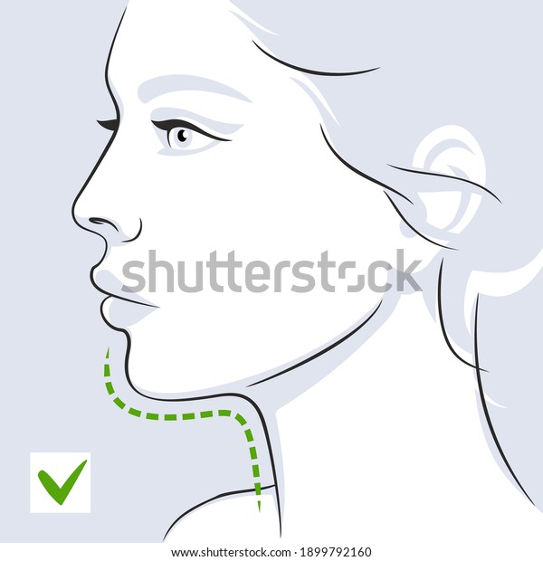 後に二つの顎を持つ女性 女の顔 ベクターイラスト のベクター画像素材 ロイヤリティフリー