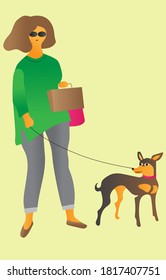 A woman with purchases in her hand walks with a pinscher. Flat illustration