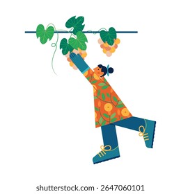 Uma mulher procura uvas maduras na vinha. Ilustração vetorial de conceito caseiro.