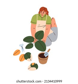 Woman replanting house plant from pot with soil. Person caring about unhealthy houseplant with wilting yellow leaves. Female and home gardening. Flat vector illustration isolated on white background