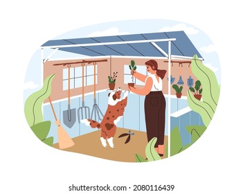 Woman Replanting Potted Plants, Work Under Garden Shelter In Dacha. Rural Summer Lifestyle Of Person And Dog. Happy Female With Pet On Holidays. Flat Vector Illustration Isolated On White Background