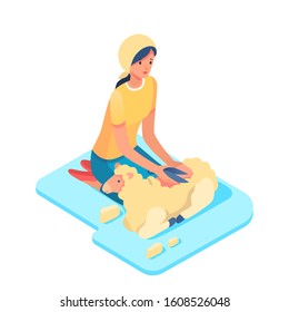 Woman shearing sheep isometric vector illustration. Young female farmer working with scissors 3D cartoon character. Lamb breeding, farming business, wool cutting. Rural economy, farming chores