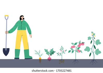 Woman with shovel plants potato, beet, carrot, tomato, cucumber. Flat vector illustration on white background. Female cartoon action character. Gardening and healthy food concept for poster