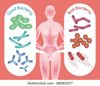 Woman silhouette and Good Bacteria and Bad Bacteria, enteric bacteria, Intestinal flora, Gut flora, probiotics, image illustration