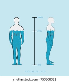 woman silhouette infographic showing water percentage level in human body vector illustration