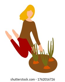 Woman sitting on her wheelchairs in a vegetable garden. blonde girl picks onions crop. autumn harvest