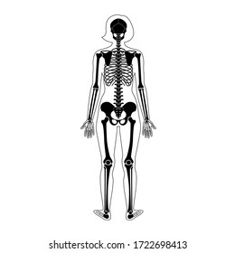 Woman Skeleton Anatomy Front Profile Back Stock Vector Royalty Free 1722698413