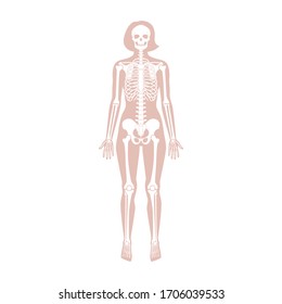 Woman skeleton anatomy in front view. Vector isolated flat illustration of human skull and bones in female body. Halloween, medical, educational or science banner
