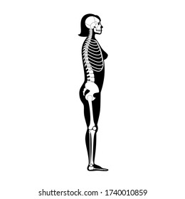 Woman skeleton anatomy in side profile view. Vector isolated flat illustration of human skull and bones in female body. Halloween, medical, educational or science banner.