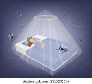 una mujer que duerme bajo un baldaquino protegido de los mosquitos