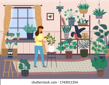 Woman spray plant with water. Female caring for house plants. Green home garden or greenhouse with plants in pots. Growing houseplants. Home leisure, hobby, everyday activities. Home jungle design