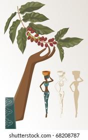 woman takes the crop of coffee