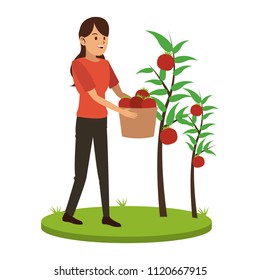 Woman with tomatos harvest