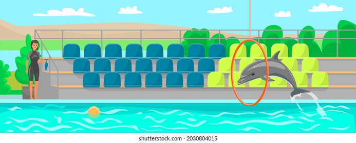 Woman trains dolphin, trainer feeds animal with fish in dolphinarium. Dolphin showing trick, jumping through hoop in pool on background of seats for spectators. Show with marine animal in oceanarium