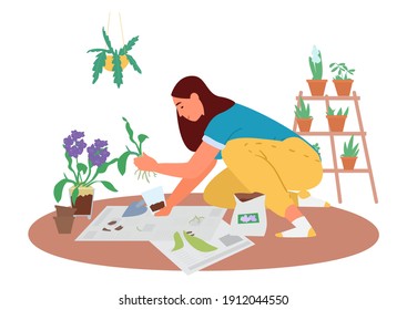 Woman Transplanting Orchids On The Floor Vector Illustration. Home Gardening.