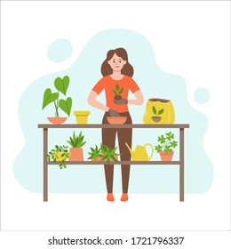 Woman transplanting a plant into another pot. Gardening concept. Table full of plants and a watering can. Vector illustration isolated on white background.