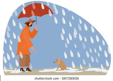 A woman with an umbrella in the rain takes care of a stray dog.
