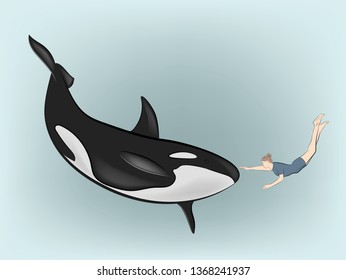 woman under the water touches the killer whale. vector illustration.