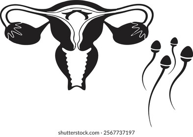 Woman uterus organ with sperms on white background. Gynecology or fertility clinic signboard, clinic and treatment offer poster or banner idea. Medical education vector, EPS 10.