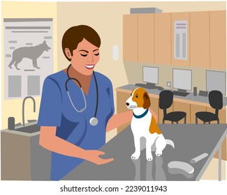 Woman veterinarian with stethoscope examining a dog Veterinary clinic interior Vector