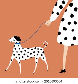 Woman walking the dalmatian. Funny purebred dog and lady in black and white dress. Hand drawn vector illustration.