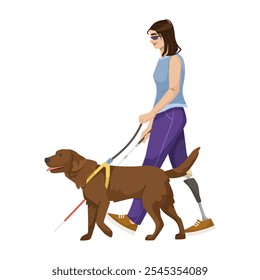 Woman walking a guide dog with prosthetic leg. Vector illustration