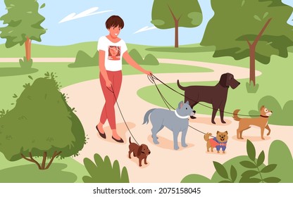 Woman walking with many dogs breeds together in city park vector illustration. Cartoon girl puppy owner or volunteer on outdoor walk with animals on leashes. Dogwalker, pet care, veterinary concept