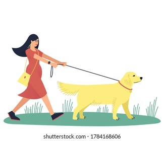 A woman walks with her beloved dog, the Labrador Retriever. Walk with your beloved pet. A large strong dog pulls its owner along. Flat vector illustration.