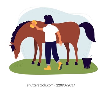 A woman washes a horse. The girl takes care of a bay horse. Hippotherapy. Vector flat illustration.