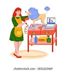 A woman watches the professional barber grooming dog channel. Girl at home grooming the dog at leisure, on weekends or in quarantine. Cartoon illustration isolated on a white background.