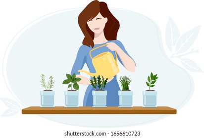Woman watering arugula, bay leaf, chives, oregano and rosemary plants at her greenhouse.