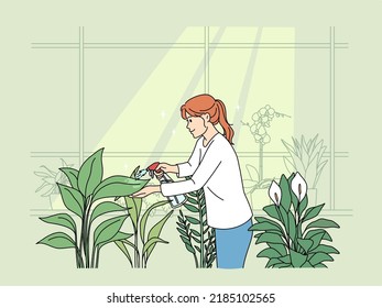 Woman watering houseplants at home. Female gardener take care of plants in indoors greenhouse or garden. Hobby and horticulture. Vector illustration. 