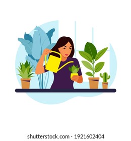 Hogares regados por mujeres en casa. El concepto de estilo de vida, huerto y plantas domésticas. Ilustración vectorial plana.