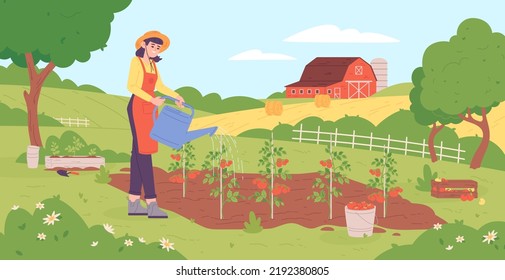 Una mujer regando tomate. Niña en sombrero cultivando verduras en jardín de primavera, cuidado de la huerta cultivando alimentos orgánicos tomates de aldea horticultura caricatura garish ilustración vectorial