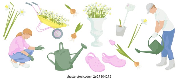 woman in work clothes  squatting to gardening, Man  watering with watering can, daffodils flowers, tulip flower, sprouted bulb of a plant, pair of rubber gardening clogs, watering can,Blooming daffodi