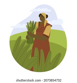 Woman worker is harvests rice in the field. Rice planting in Asia. Natural farming, village. Hard manual labor. Flat style in vector illustration. India, Vietnam, Bangladesh, Cambodia, Thailand. 