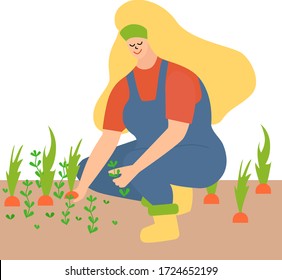 woman working in the garden, weeding. Pull out the weeds and leaves the carrots. a blonde in a blue jumpsuit and yellow boots. Trend vector illustration on a white background.