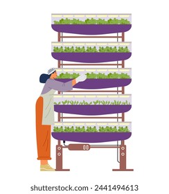 Woman working on vertical farm flat vector illustration isolated on white.