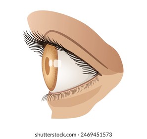 A Woman Yellow Eye side view vector Illustration isolated, eps