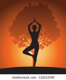 Woman in yoga tree pose on sunset. Vector