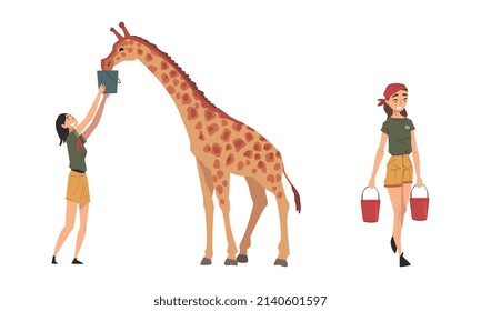 Woman Zookeeper Feeding Giraffe with Bucket Engaged in Daily Care of Animal Vector Set