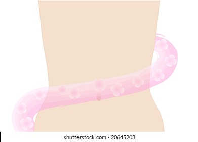 Woman's belly