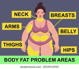 A woman's body with belly fat. Body fat problem areas. Banner, snippet. Healthcare illustration. Vector illustration. 