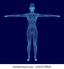 Woman's body is shown in a blue color. The image is a computer-generated image of a woman. The woman is standing with her arms crossed, and her body is shown in a very detailed manner