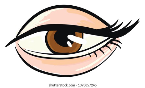 Woman's brown eye White background 